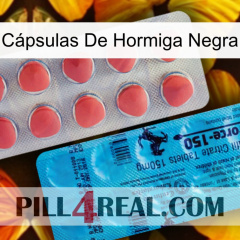 Cápsulas De Hormiga Negra new14